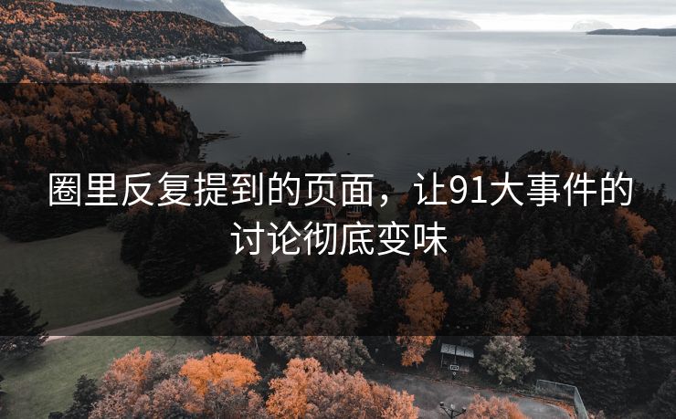 圈里反复提到的页面，让91大事件的讨论彻底变味