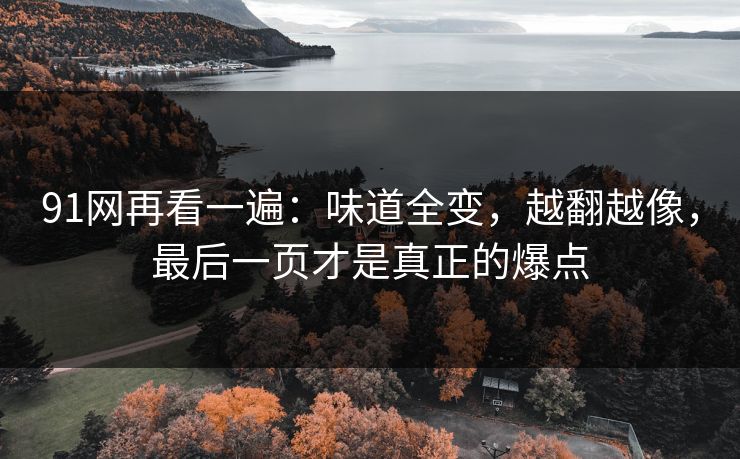 91网再看一遍：味道全变，越翻越像，最后一页才是真正的爆点